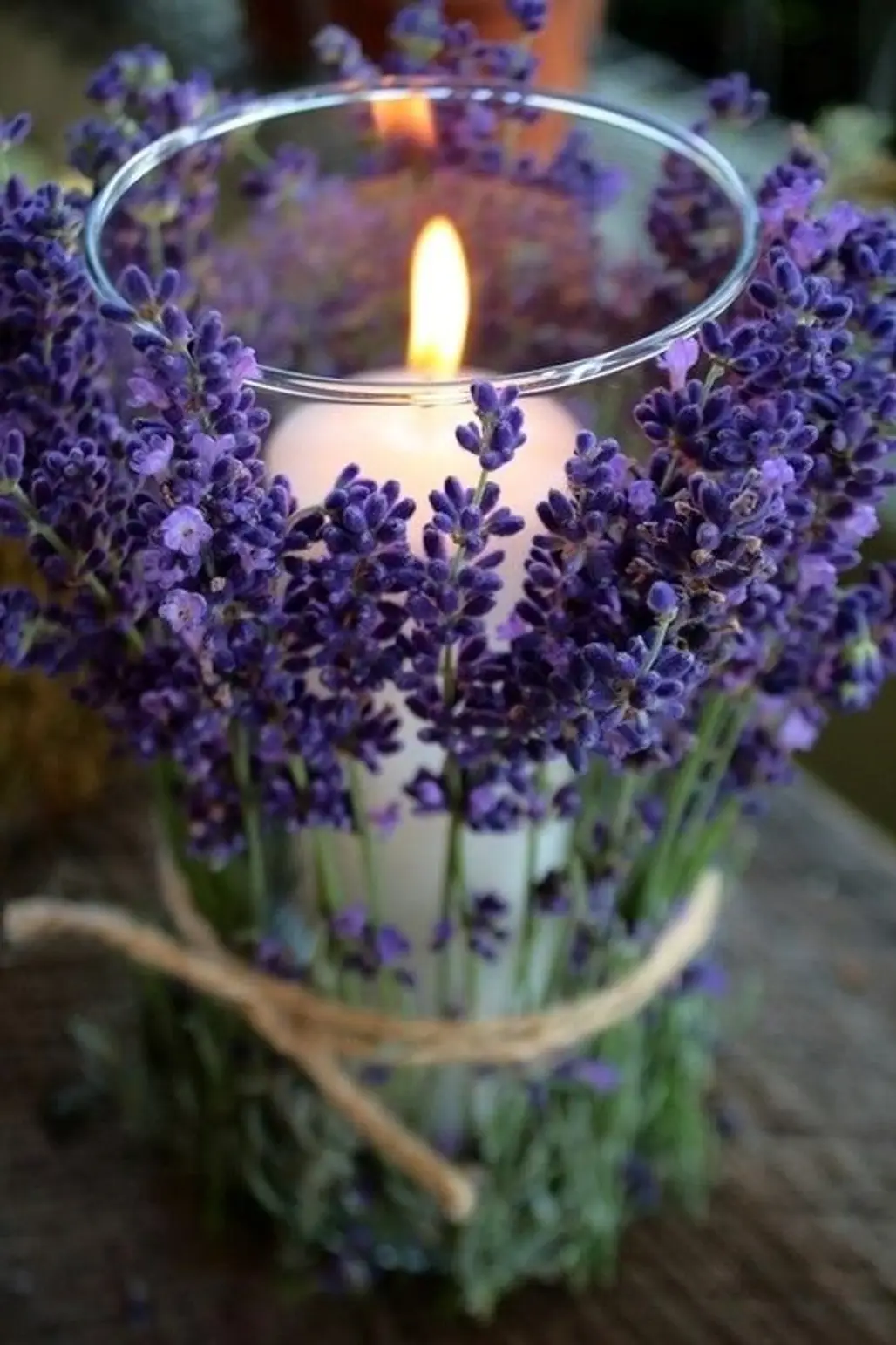 Permeate Your Space with Gorgeous Lavender Aroma