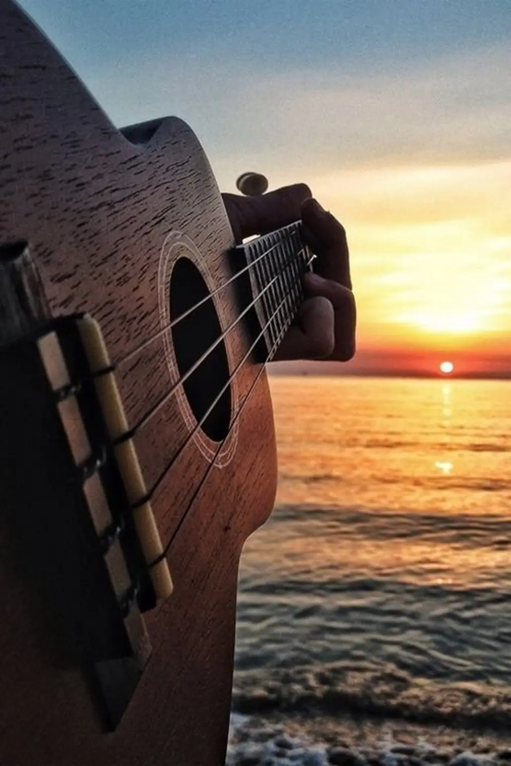 guitar, plucked string instruments, musical instrument, string instrument, sea,