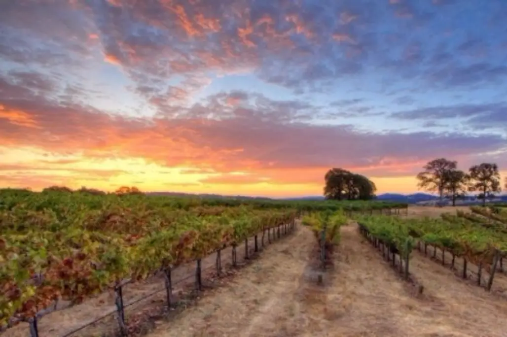 Santa Barbara Wine Country – California
