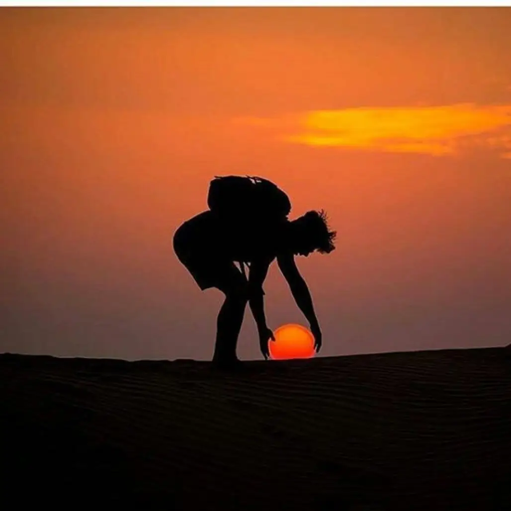 camel, silhouette, horizon, sunset, arabian camel,