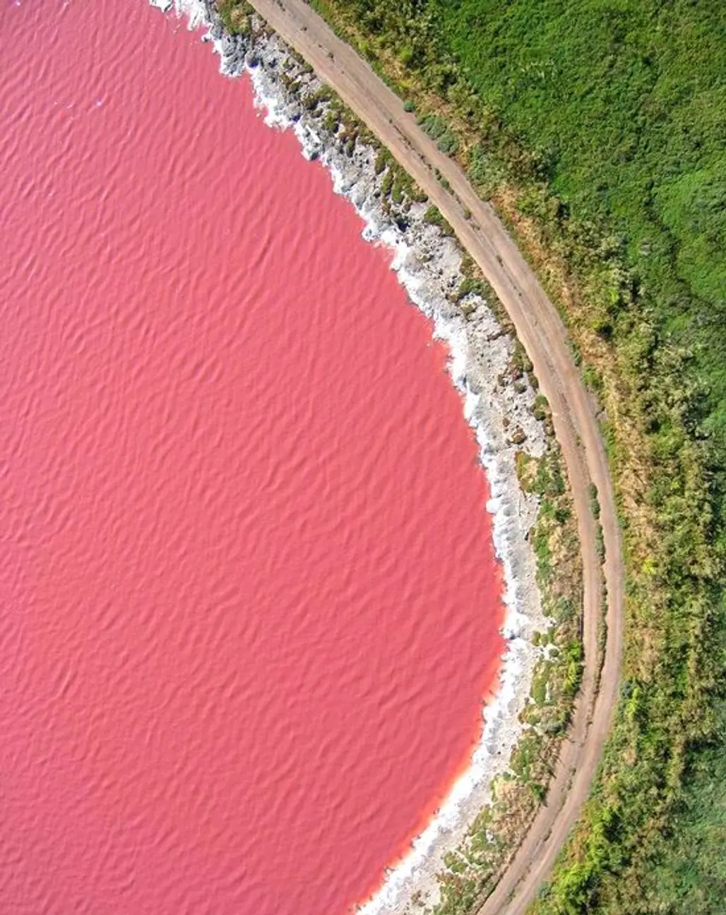 Dusty Rose Lake, Canada