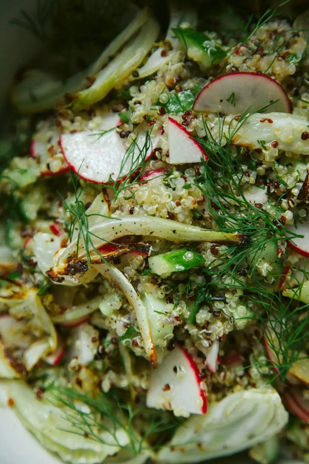 Roasted Fennel Quinoa Crunch Salad
