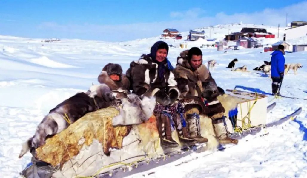 Inuit Population