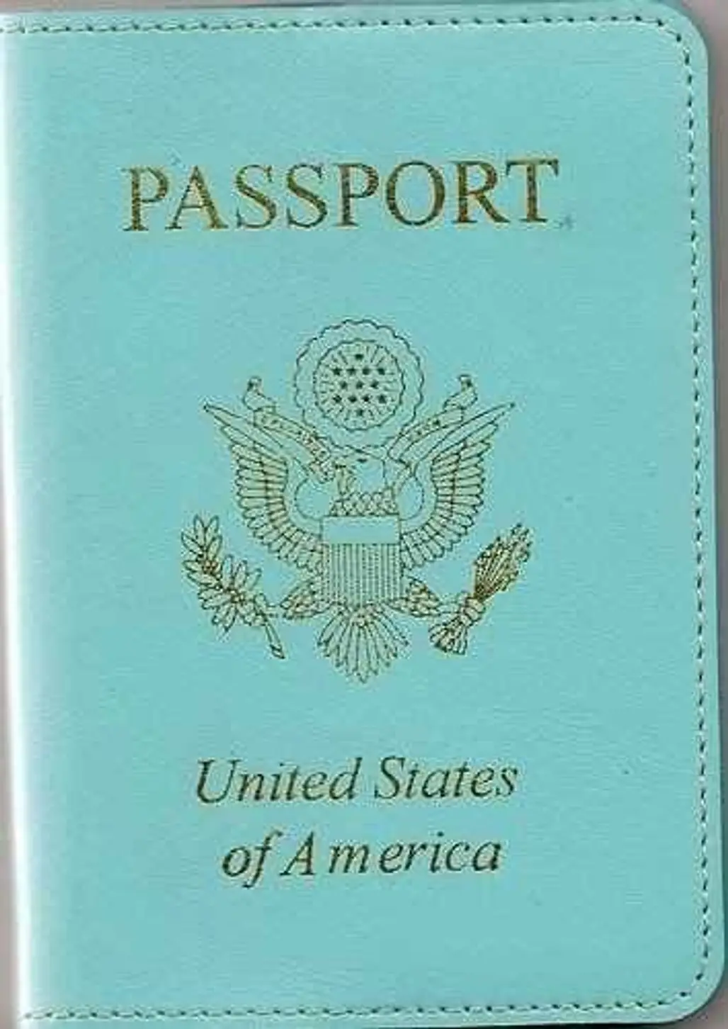 Tiffany Blue Passport Cover