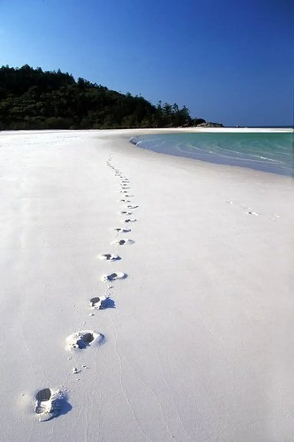Treading the First Footprints on a Deserted Beach