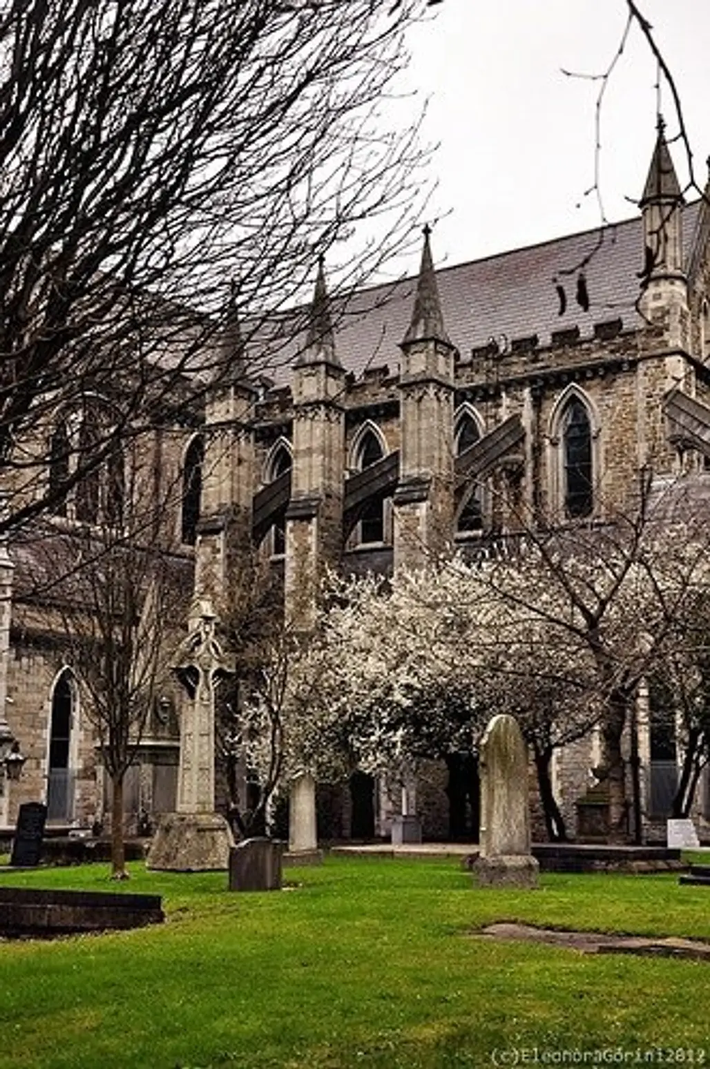 St.Patrick Cathedral in Dublin