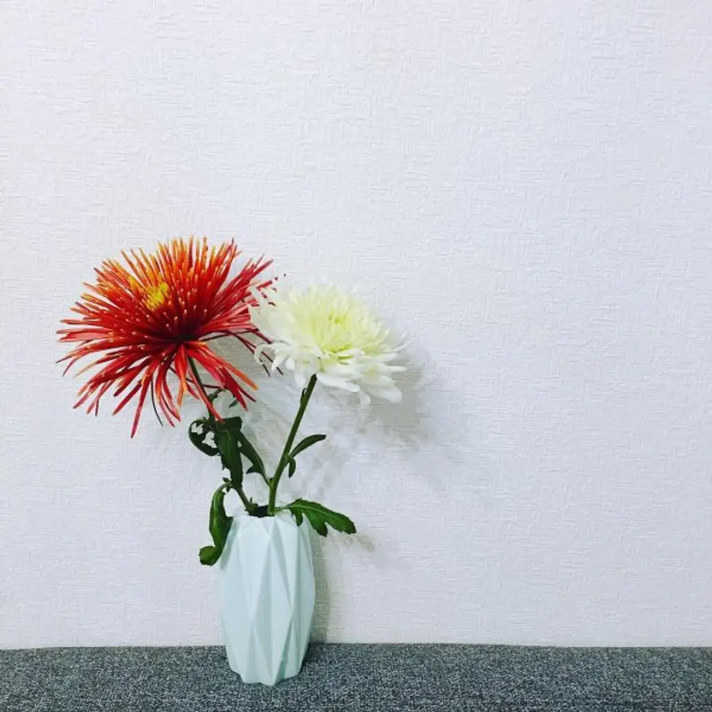 flower, cut flowers, flowering plant, vase, flower arranging,
