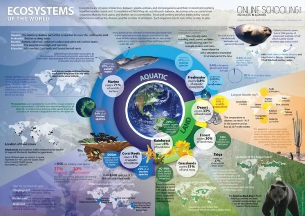 The World's Ecosystems