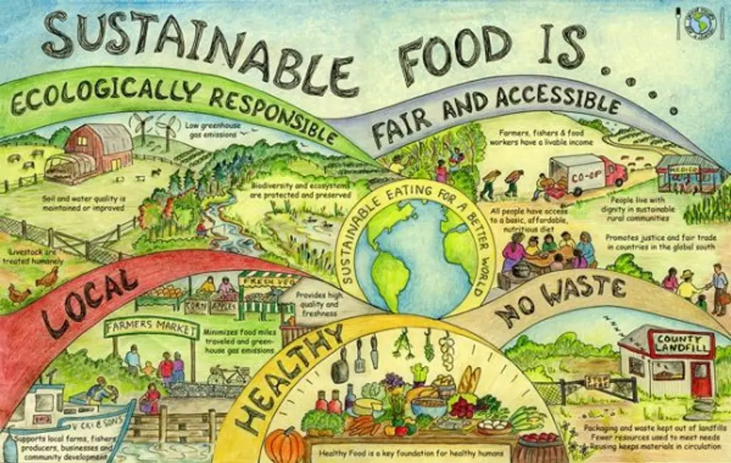 What is Sustainable Food?