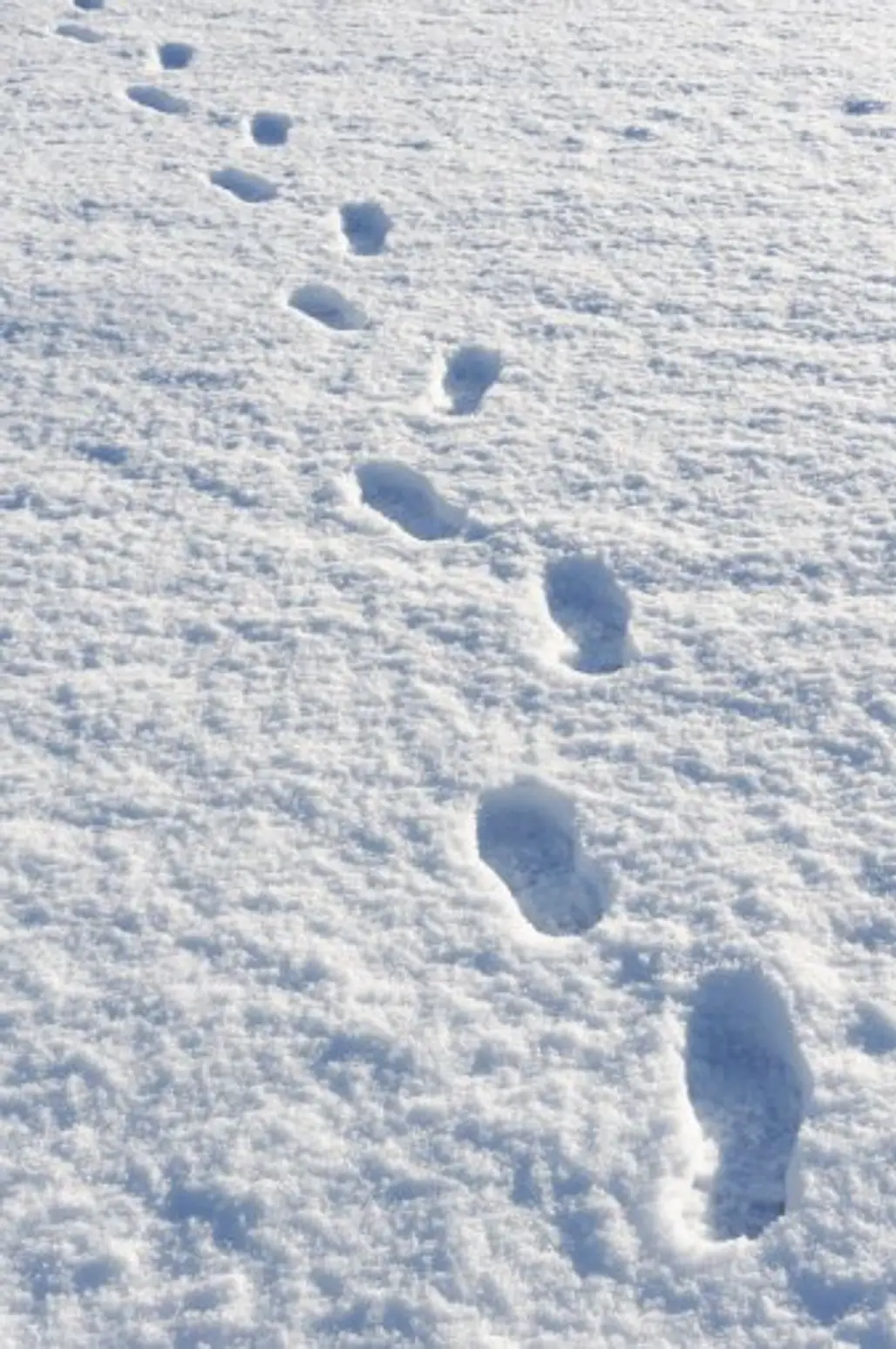 Being the First to Make Footprints in the Snow