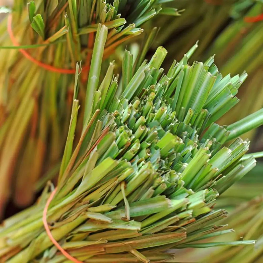 Lemongrass is Distinctive and Delicious