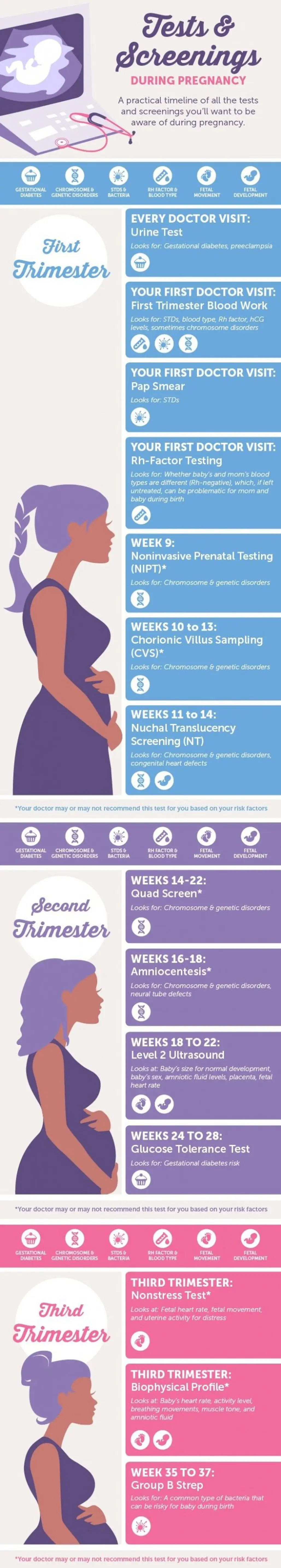 The Main Tests and Screenings during Pregnancy