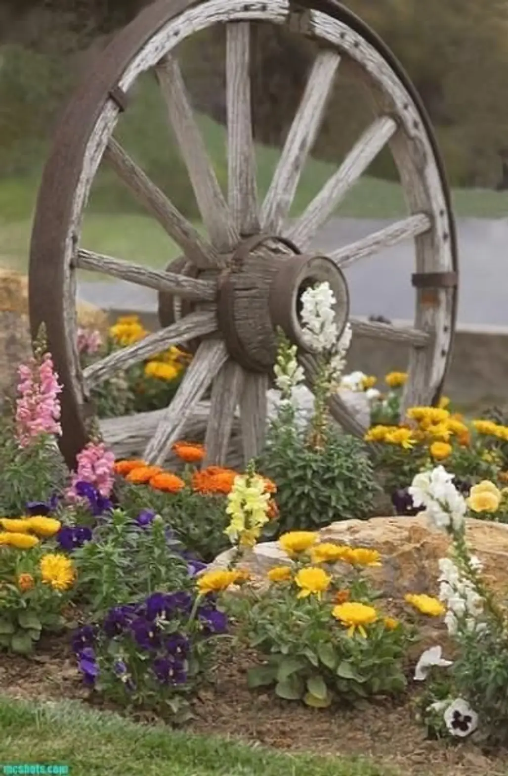 man made object,flower arranging,floristry,flower,wheel,