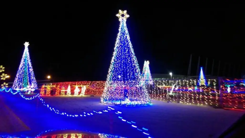 christmas lights, christmas decoration, christmas tree, christmas, decor,