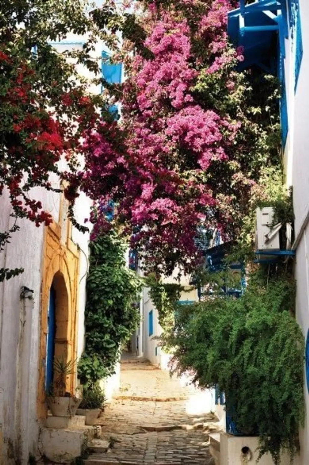 Sidi Bou Saïd, Tunisia