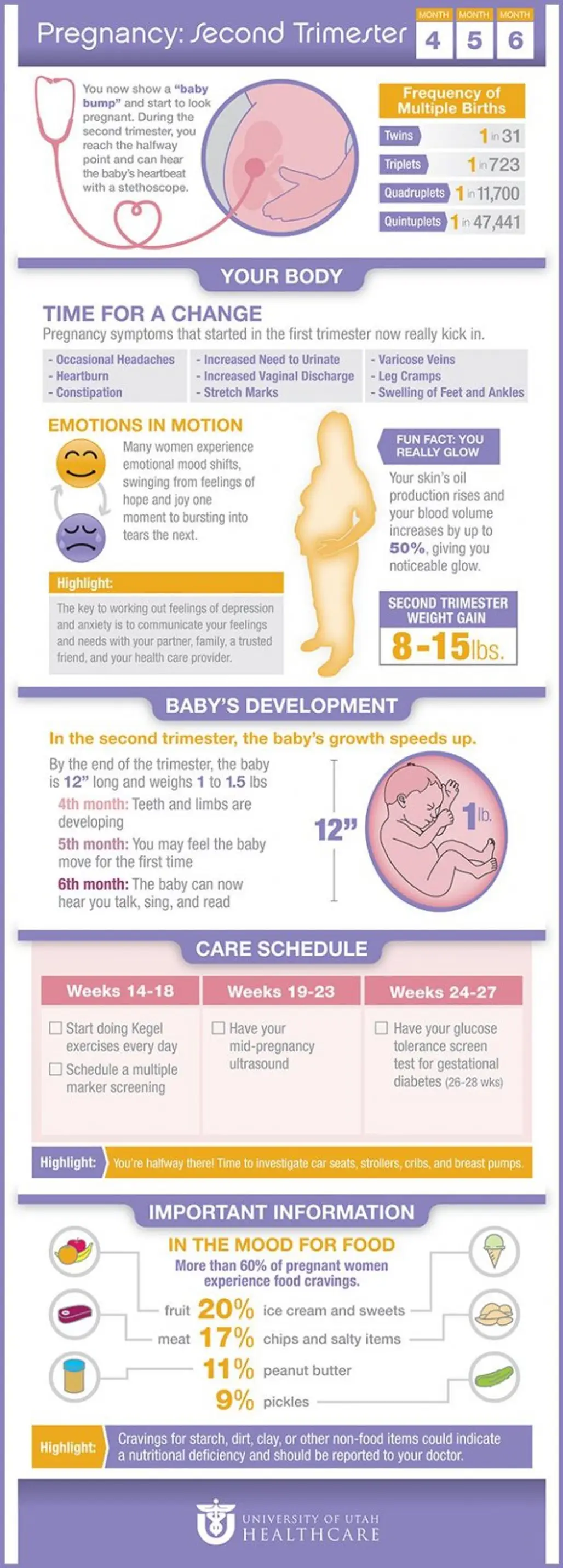 Facts about the Second Trimester of Pregnancy