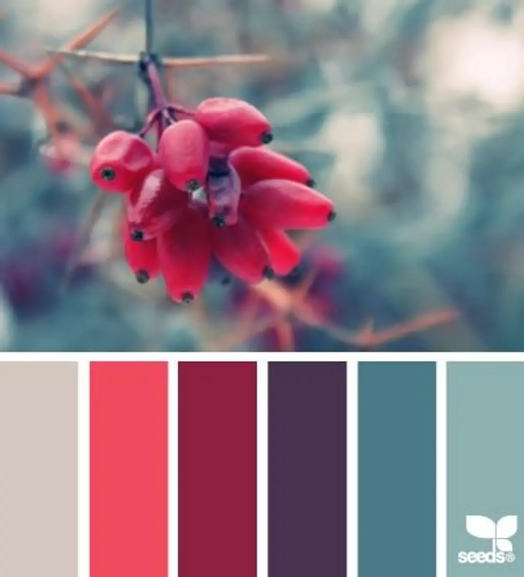 color,red,plant,flora,flower,