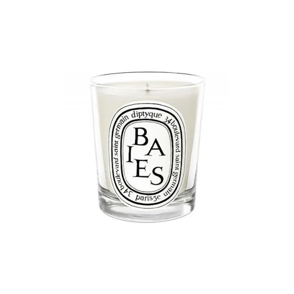 Diptyque Baies Candle-6.5 Oz