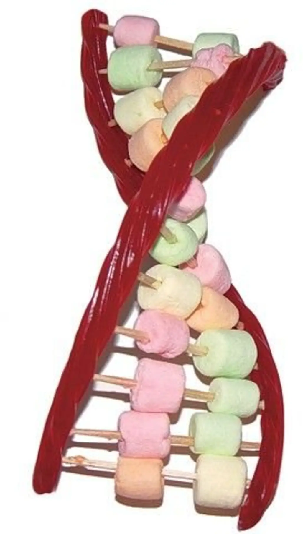candy dna