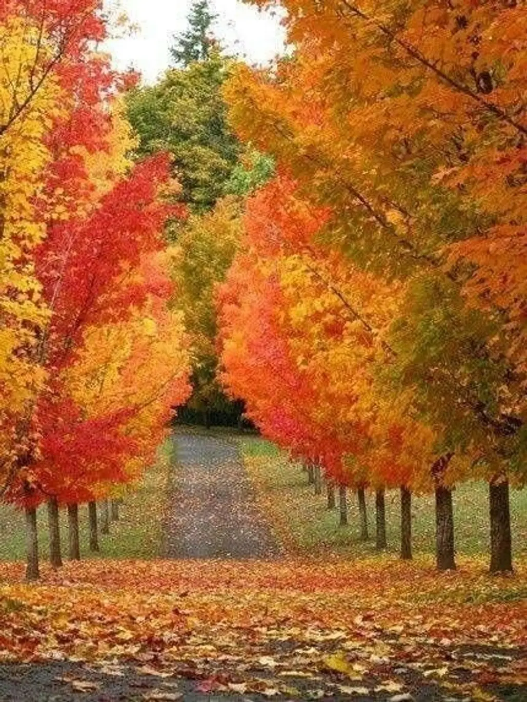 Connecticut Autumn