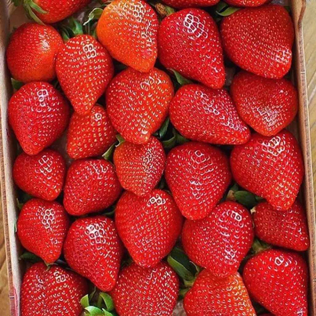 strawberry, strawberries, food, fruit, produce,