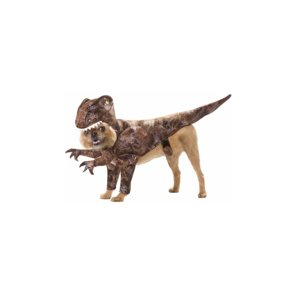 Animal Planet Raptor Dog Costume, Small