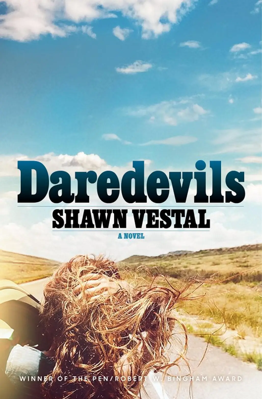 Daredevils by Shawn Vestal