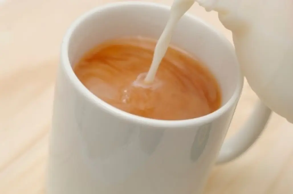 drink,food,cup,latte,coffee milk,