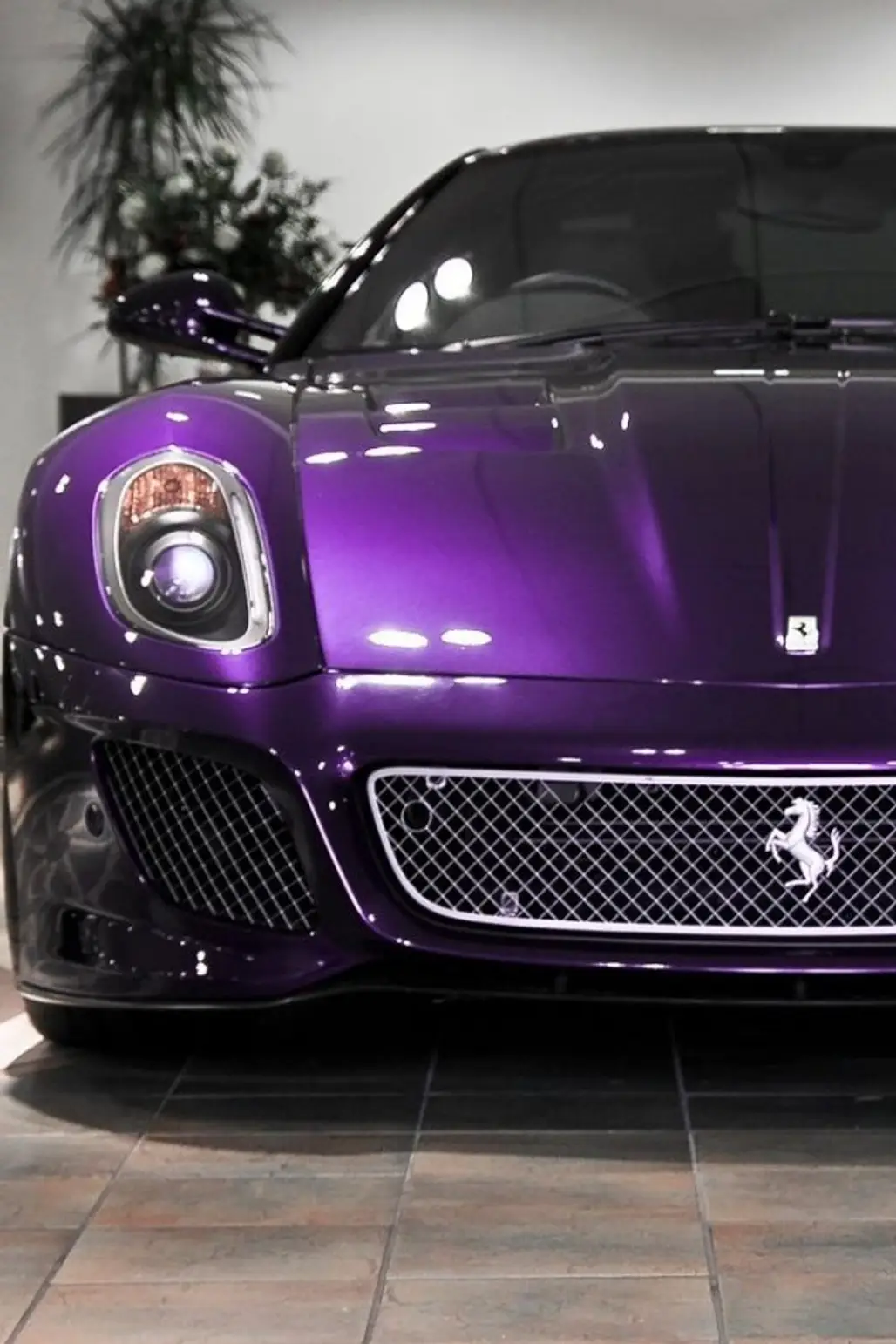 Purple Ferrari