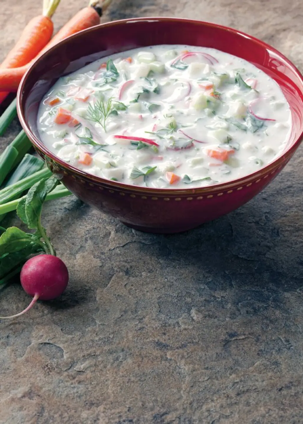 Russian Cold Vegetable Soup