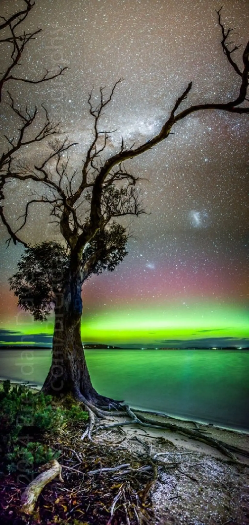 Southern Lights, Tasmania, Australia