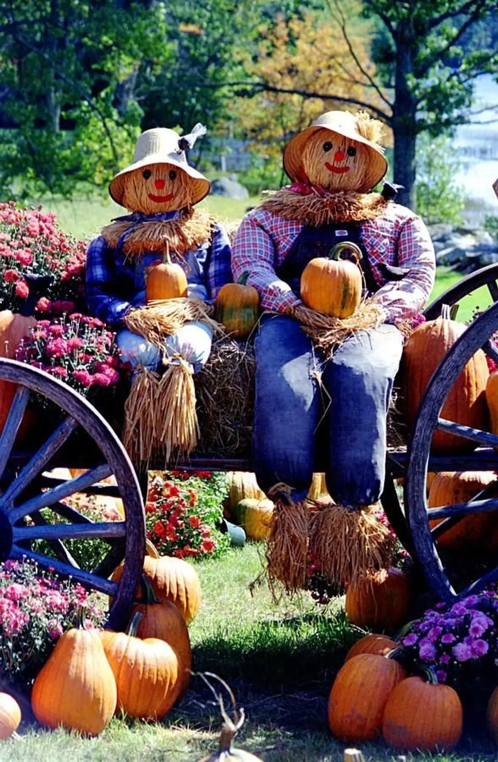Harvest Couple