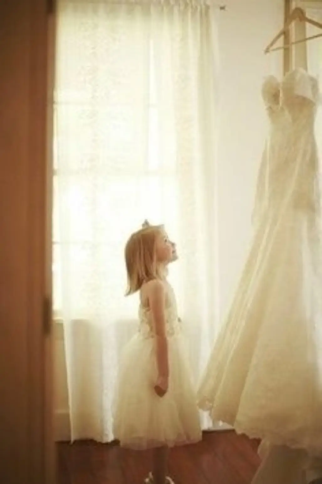 wedding dress,dress,clothing,bridal accessory,bridal clothing,