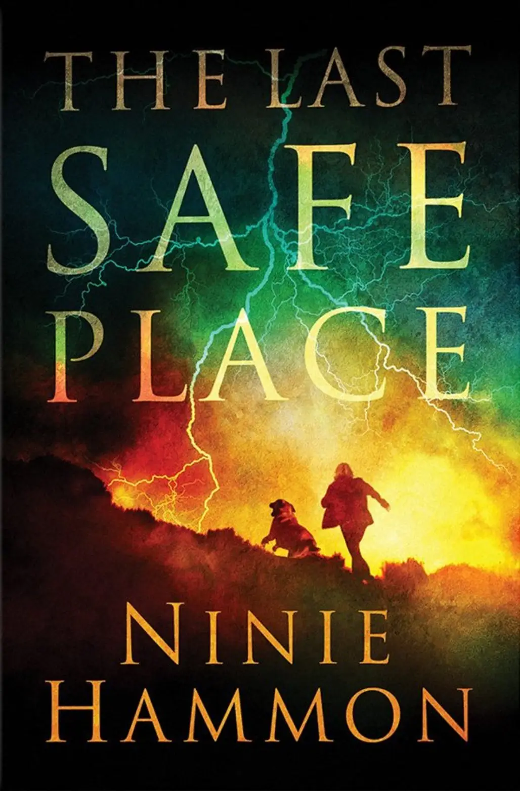 The Last Safe Place by Ninie Hammon