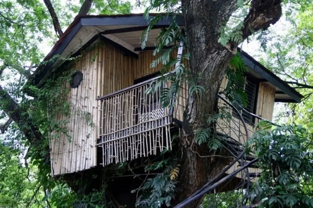 Pasonanca Park Treehouse - Mindanao, the Philippines