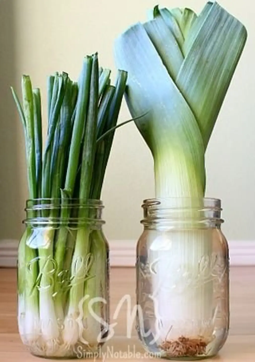 Grow Leeks and Onions in a Jar