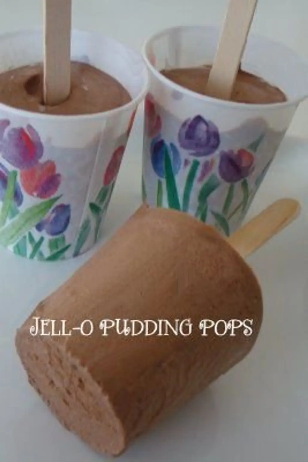 JELL-O Homemade Pudding Pops