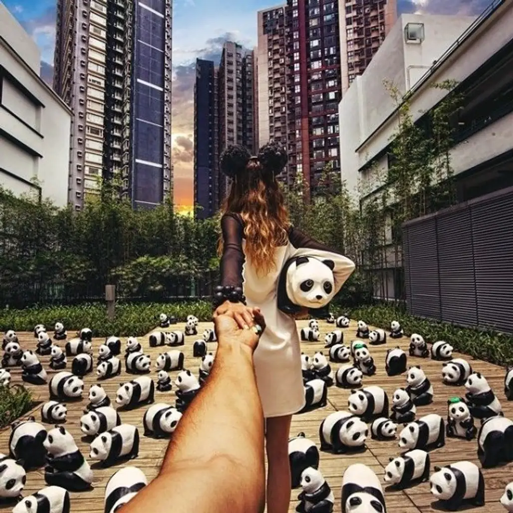 1600 Pandas Exhibition in Hong Kong