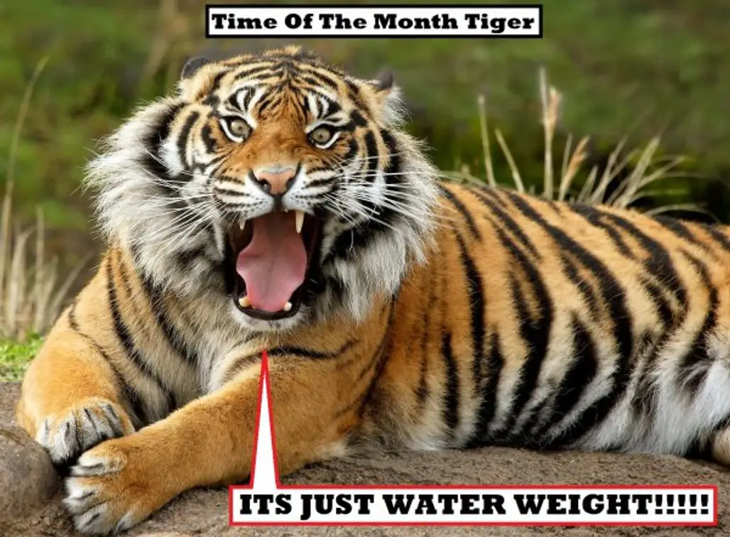 Time of the Month Tiger