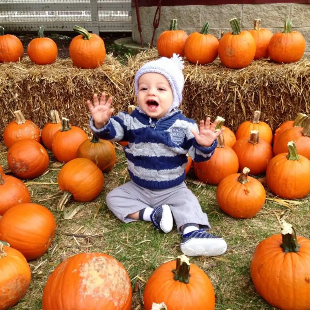 Go to the Pumpkin Patch