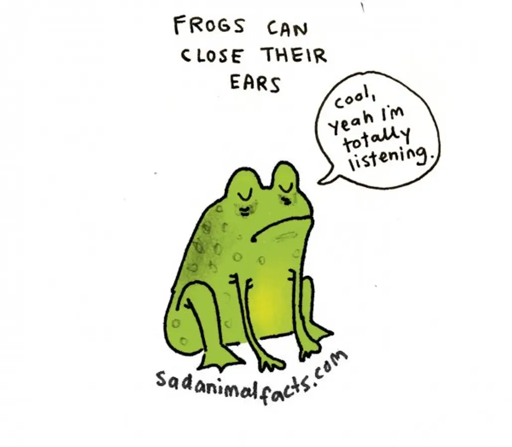 About Frogs