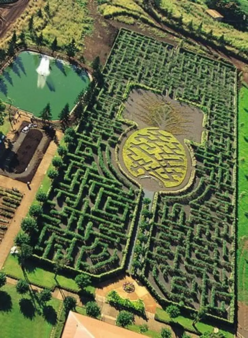 The Pineapple Garden Maze