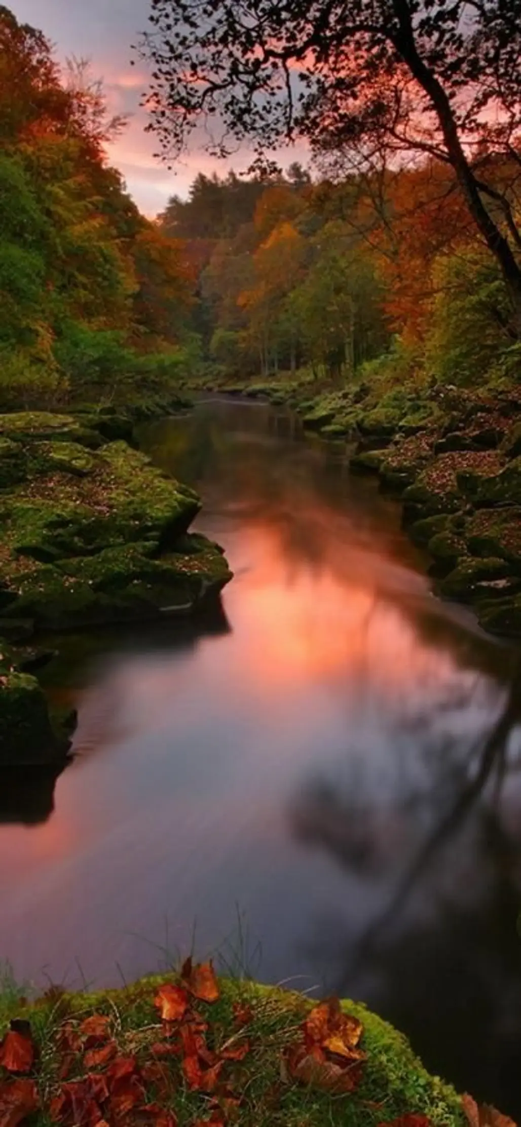 The Strid Narrows of the River Wharfe, Yorkshire Dales