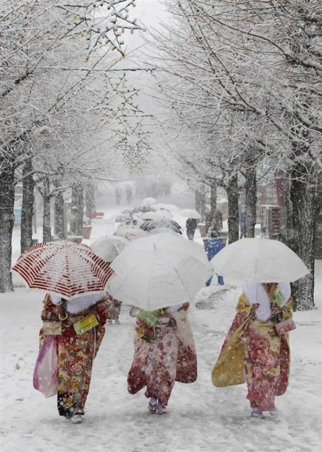 Tokyo Snowfall
