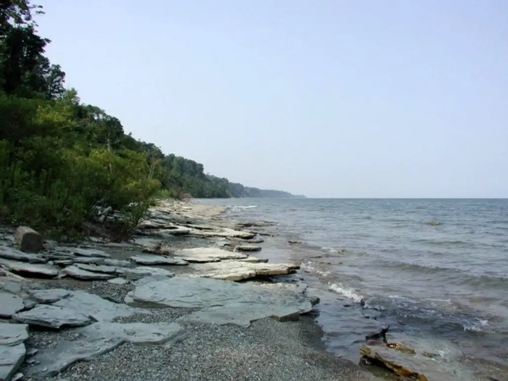 Lake Erie Shoreline