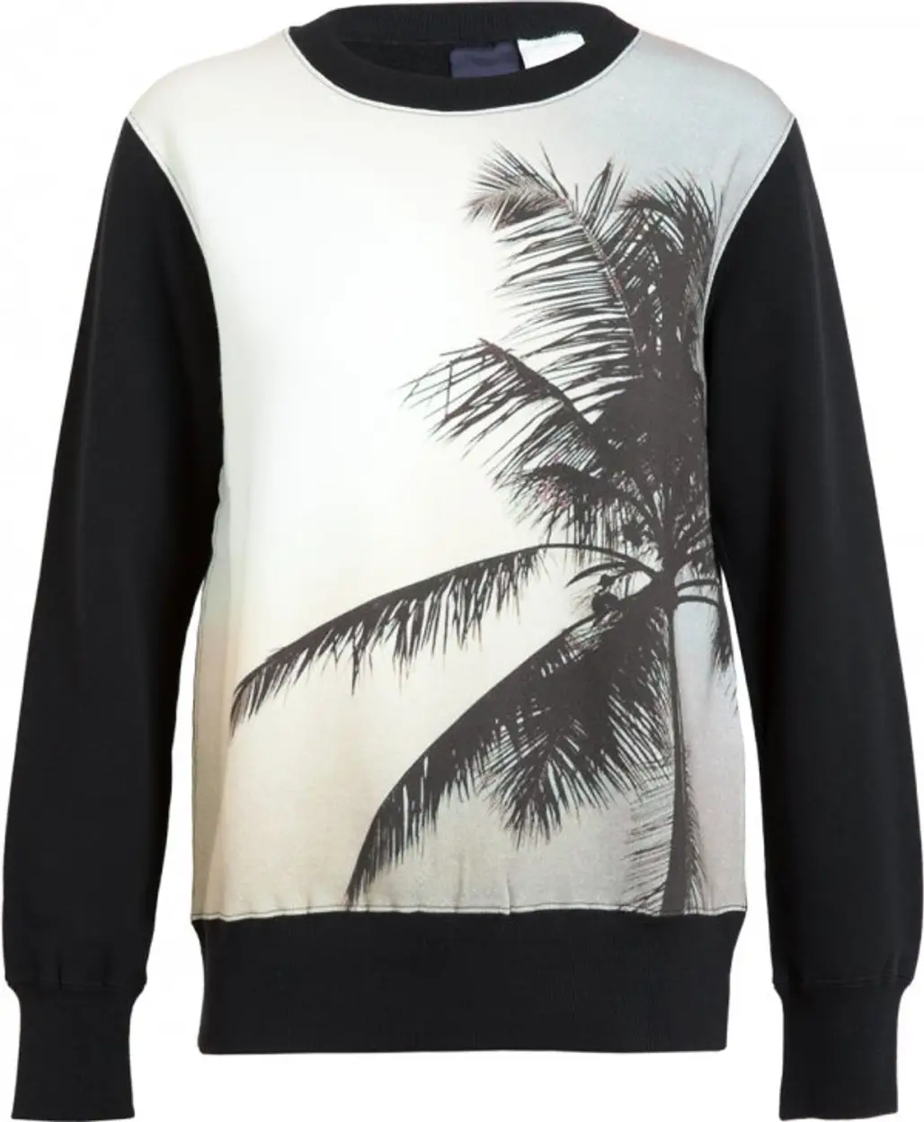 Dezso Palm Print Sweatshirt