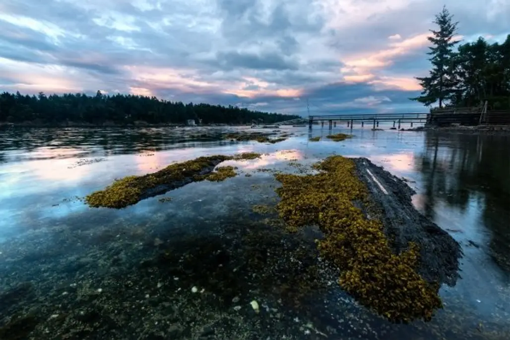 Salt Spring Island, British Columbia, Canada