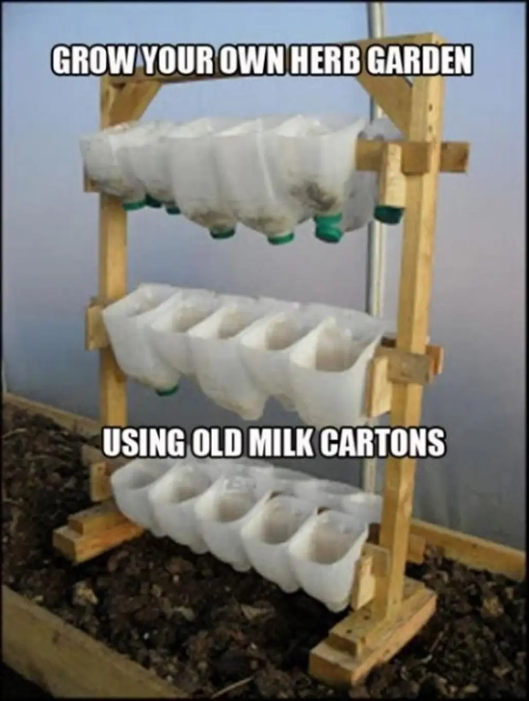 Grow Herbs in Milk Cartons