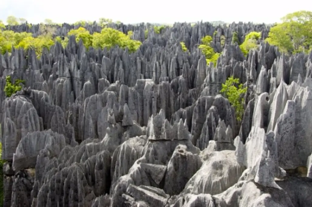 Tsingy Forest – Madagascar