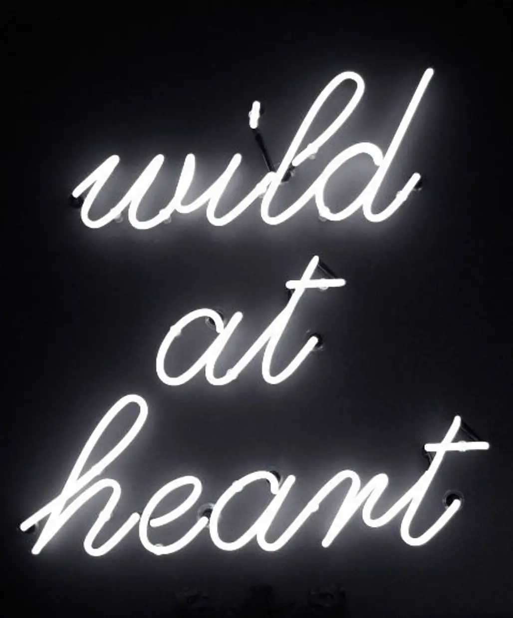 "wild at Heart"